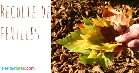 bricolage feuilles automne2