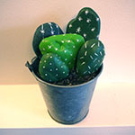 Les cailloux cactus