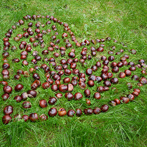 land-art-automne3